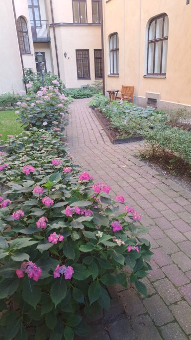 nya rabatter Trädgårdsslinga med rosa blommor och grönska vid en byggnad.