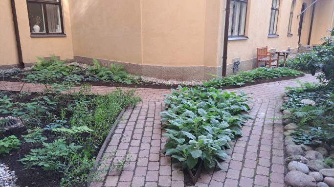 Rabatt Trädgård med gröna växter och en stenlagd gång mellan hus.